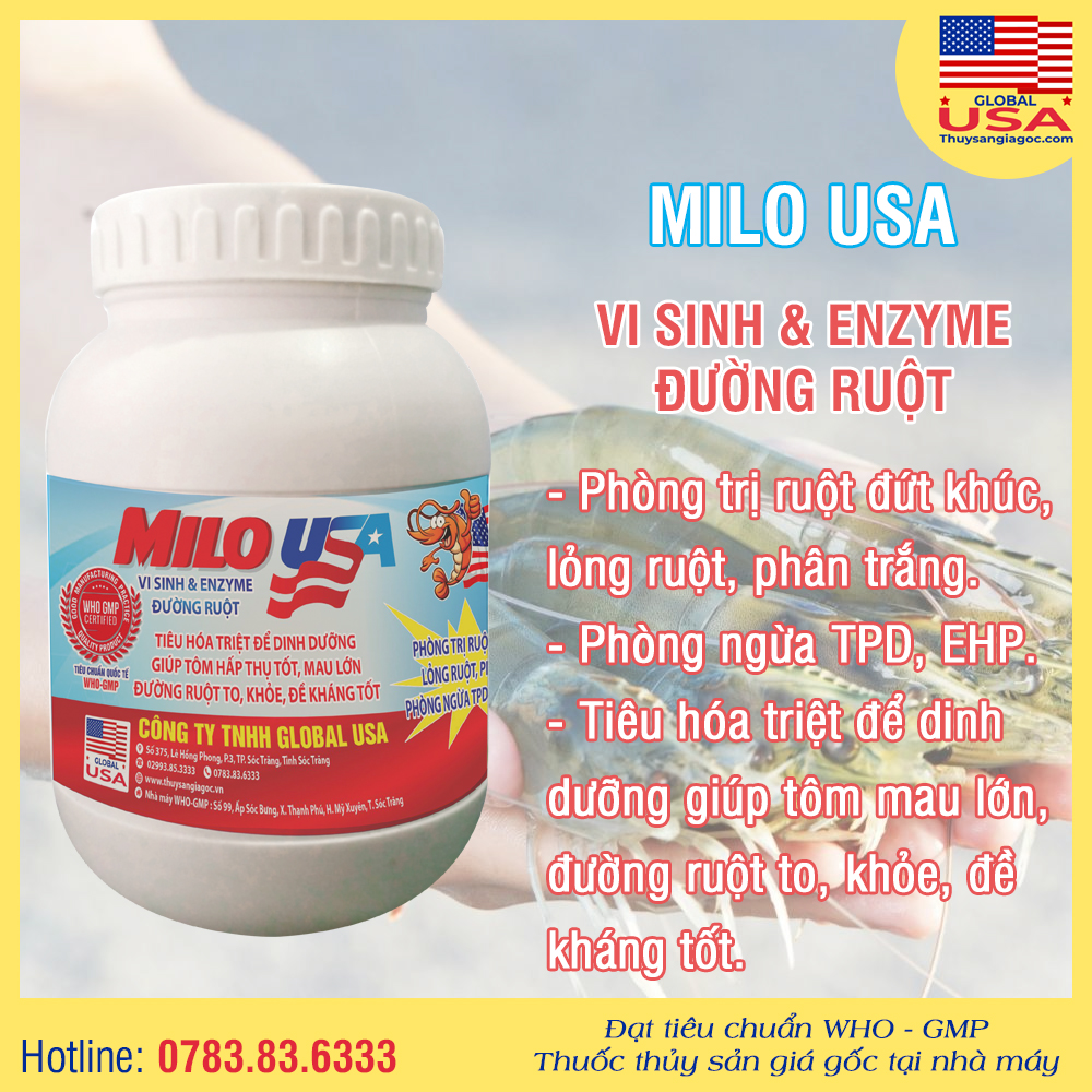 MILO USA - Vi sinh và enzyme đường ruột 500g