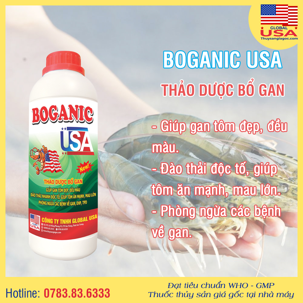 BOGANIC USA 1 Lít