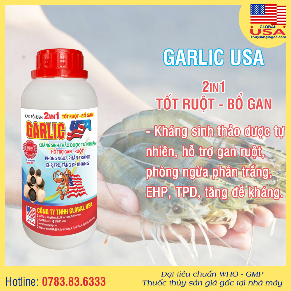 GARLIC USA - Kháng sinh tự nhiên hỗ trợ gan ruột 500ml