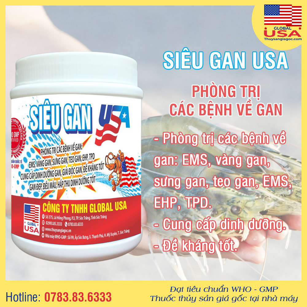 SIÊU GAN USA - Phòng trị các bệnh về gan 200g