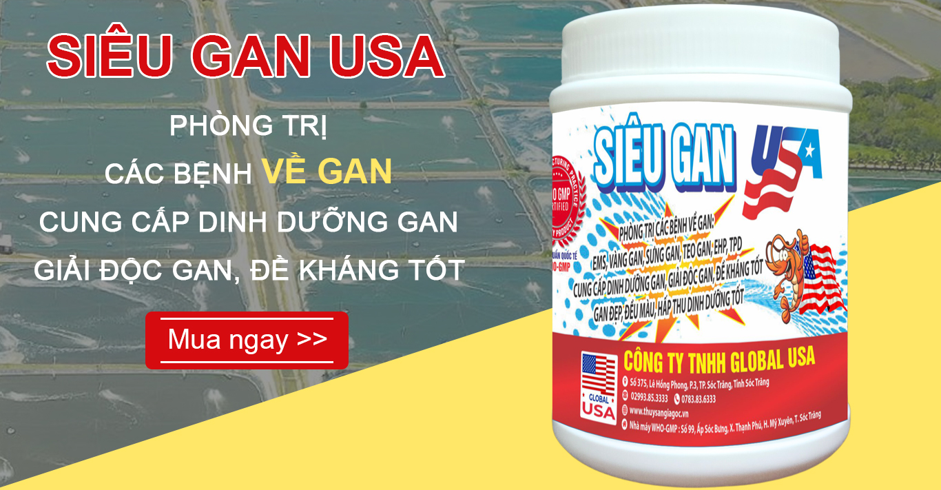 sieu-gan-usa-bn1.jpg